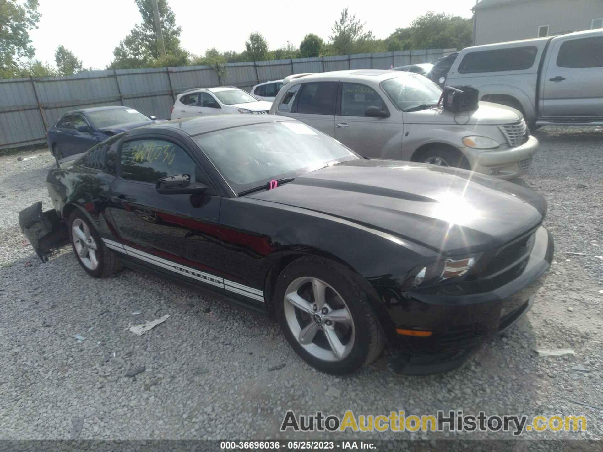 FORD MUSTANG V6, 1ZVBP8AM9B5136196