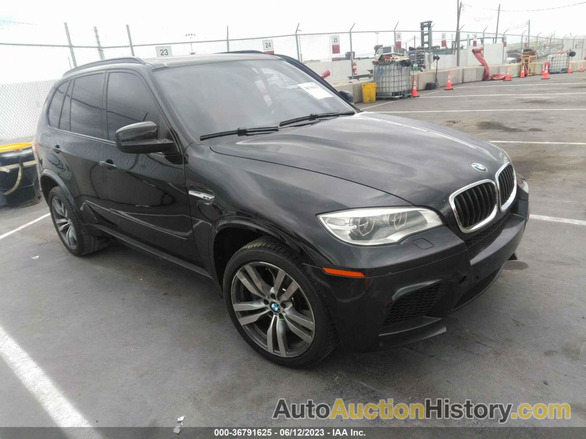 BMW X5 M, 5YMGY0C50DLL15648