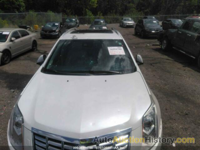 CADILLAC SRX PREMIUM COLLECTION, 3GYFNEE31DS579441