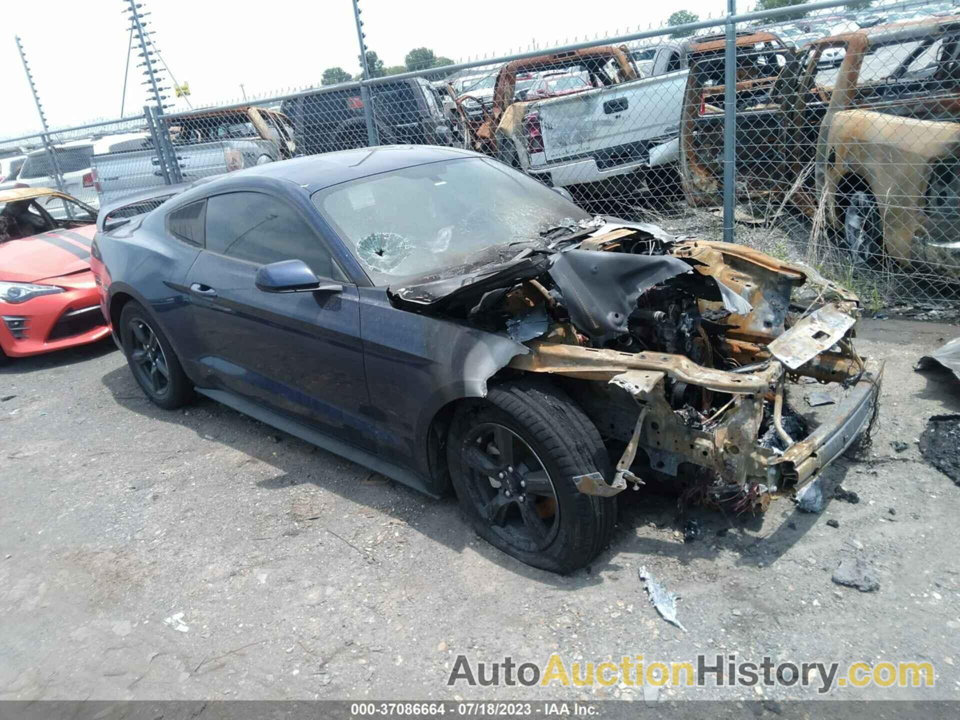 FORD MUSTANG ECOBOOST, 1FA6P8TH6K5111587