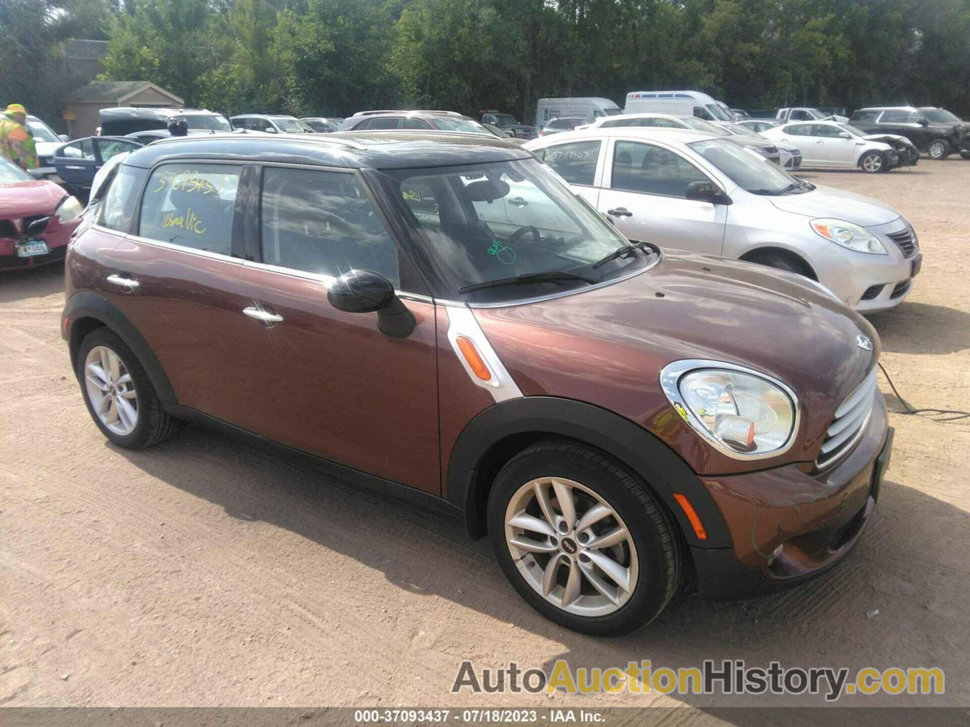 MINI COOPER COUNTRYMAN, WMWZB3C52DWM08719