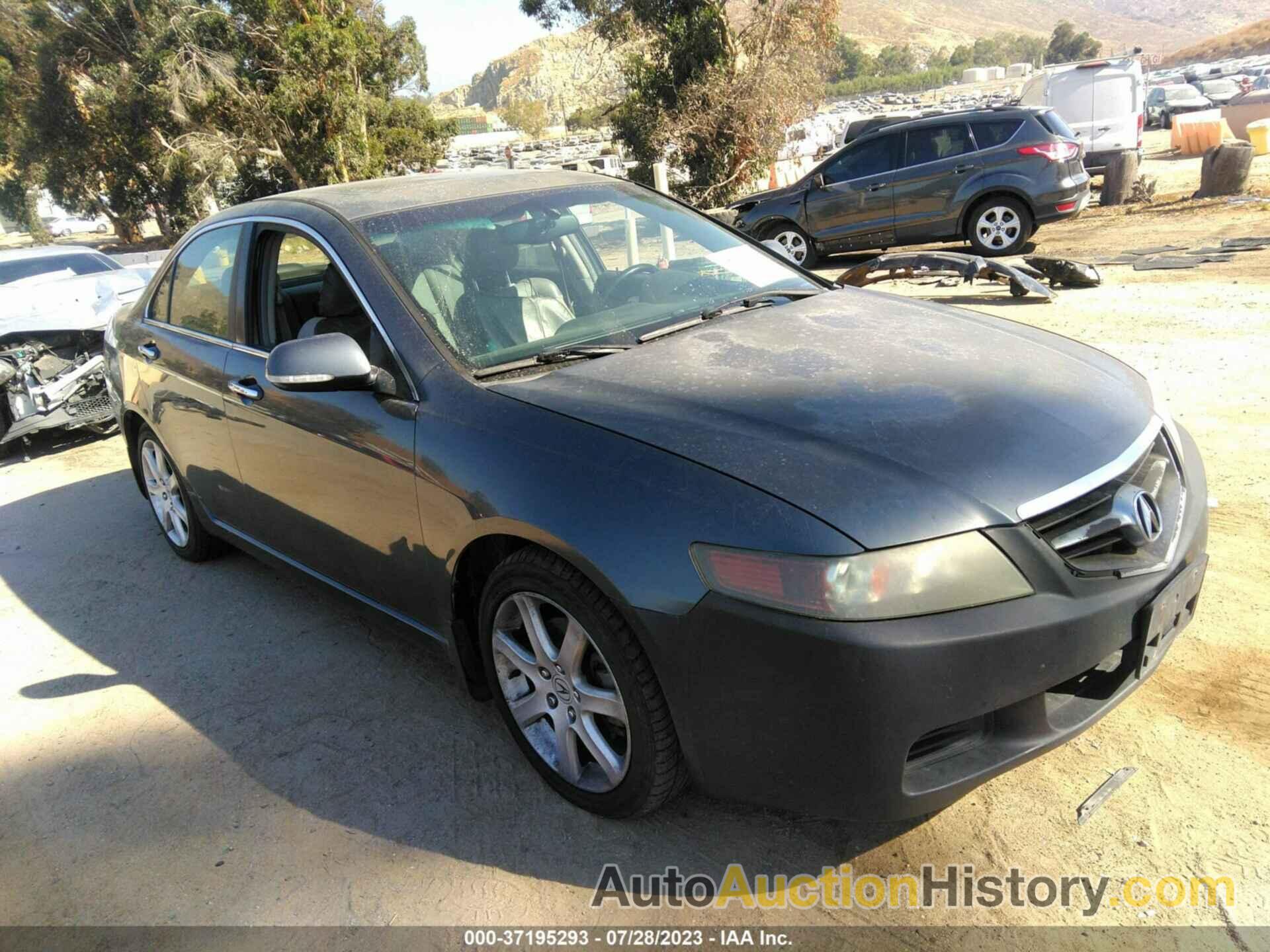 ACURA TSX, JH4CL96975C023472