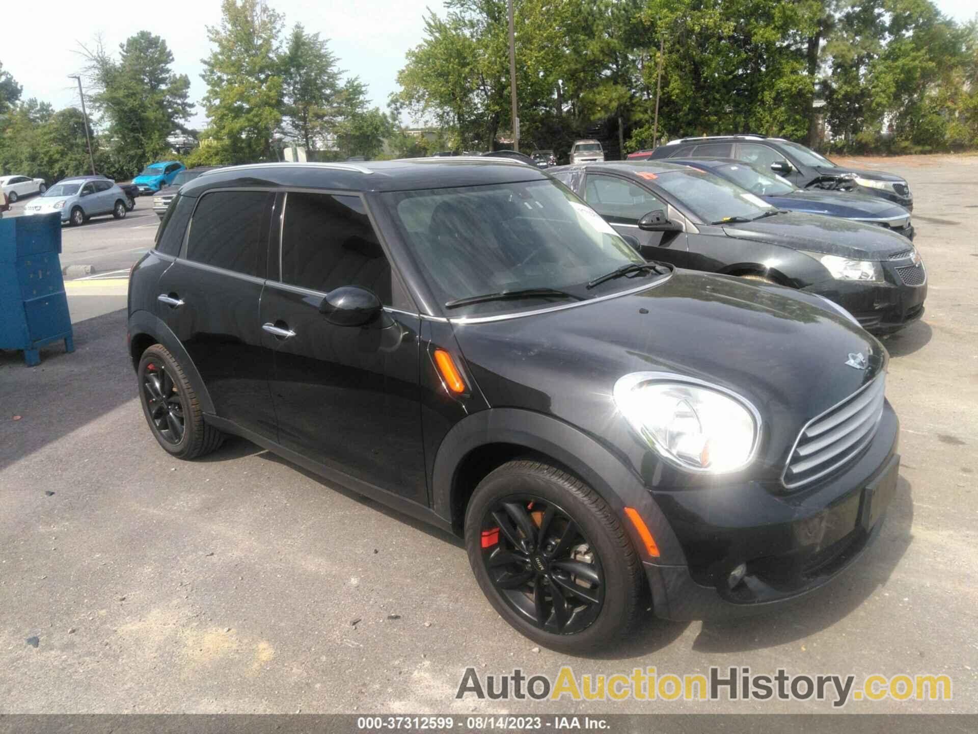 MINI COOPER COUNTRYMAN, WMWZB3C52DWM30980