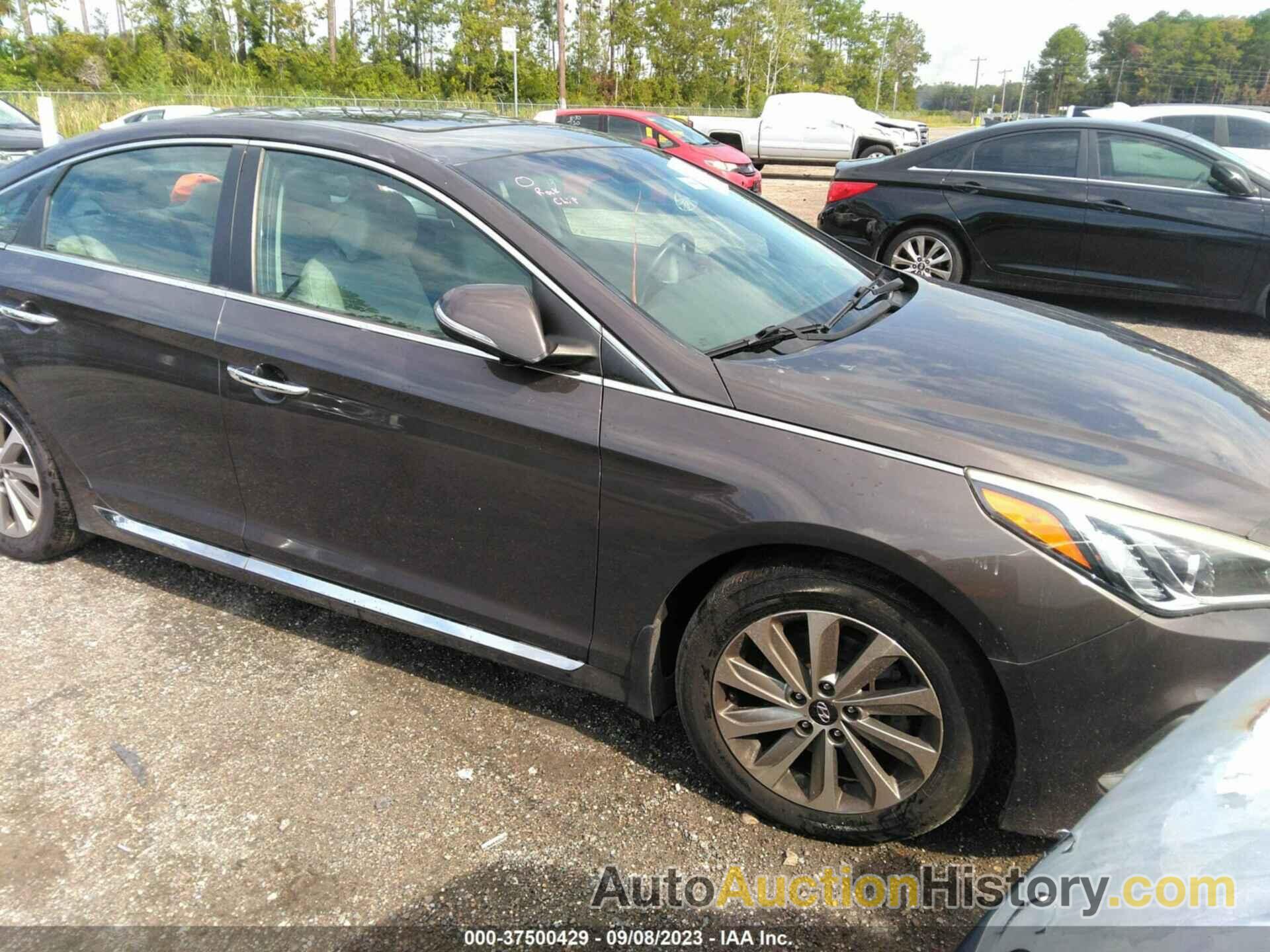 HYUNDAI SONATA SPORT, 5NPE34AF4GH409655