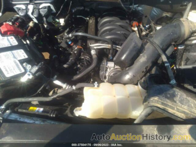 FORD F-150 XL, 1FTFW1E50MFA36115