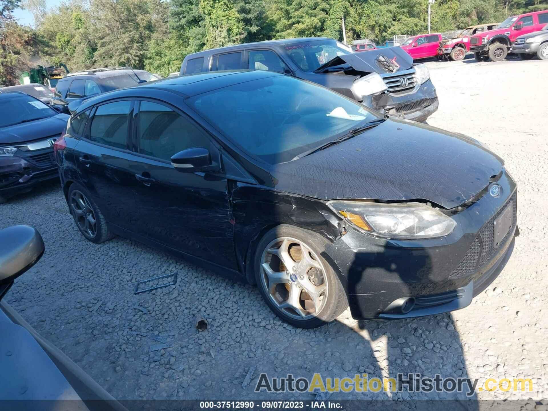 FORD FOCUS ST, 1FADP3L98DL191783