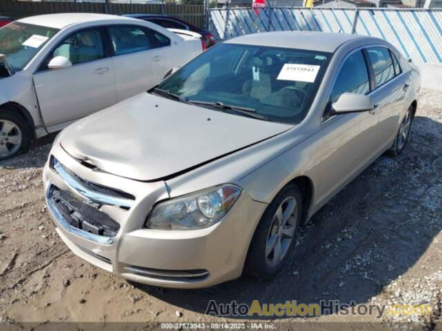 CHEVROLET MALIBU 1LT, 1G1ZC5E18BF218032