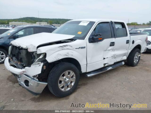 FORD F-150 XLT, 1FTEW1CM9BFC29737