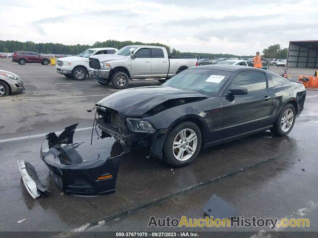 FORD MUSTANG V6, 1ZVBP8AM6D5226425