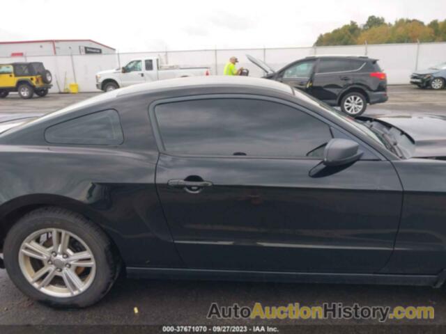 FORD MUSTANG V6, 1ZVBP8AM6D5226425