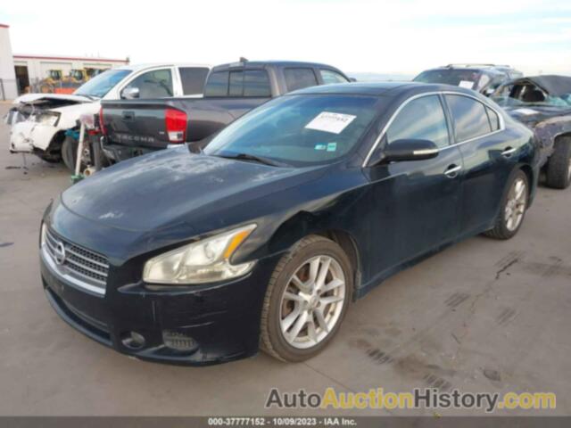 NISSAN MAXIMA 3.5 SV, 1N4AA5AP2BC817391