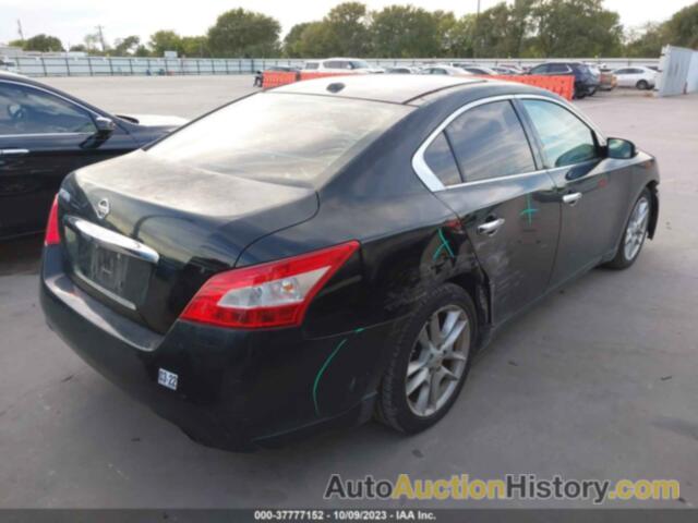 NISSAN MAXIMA 3.5 SV, 1N4AA5AP2BC817391