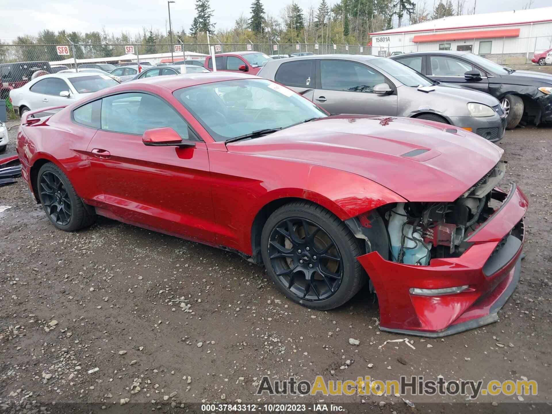 FORD MUSTANG ECOBOOST, 1FA6P8TH8K5131145