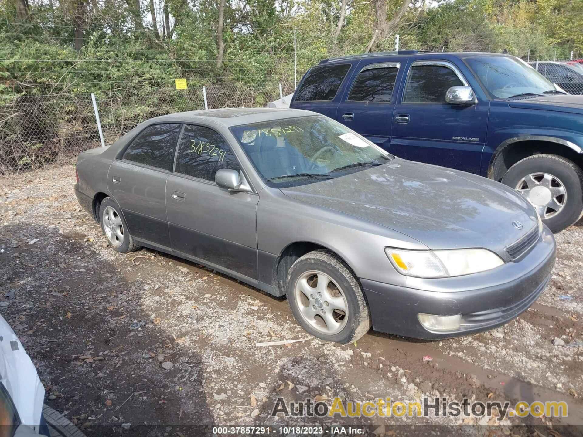 LEXUS ES 300 LUXURY SPORT SDN, JT8BF28G0X5067682