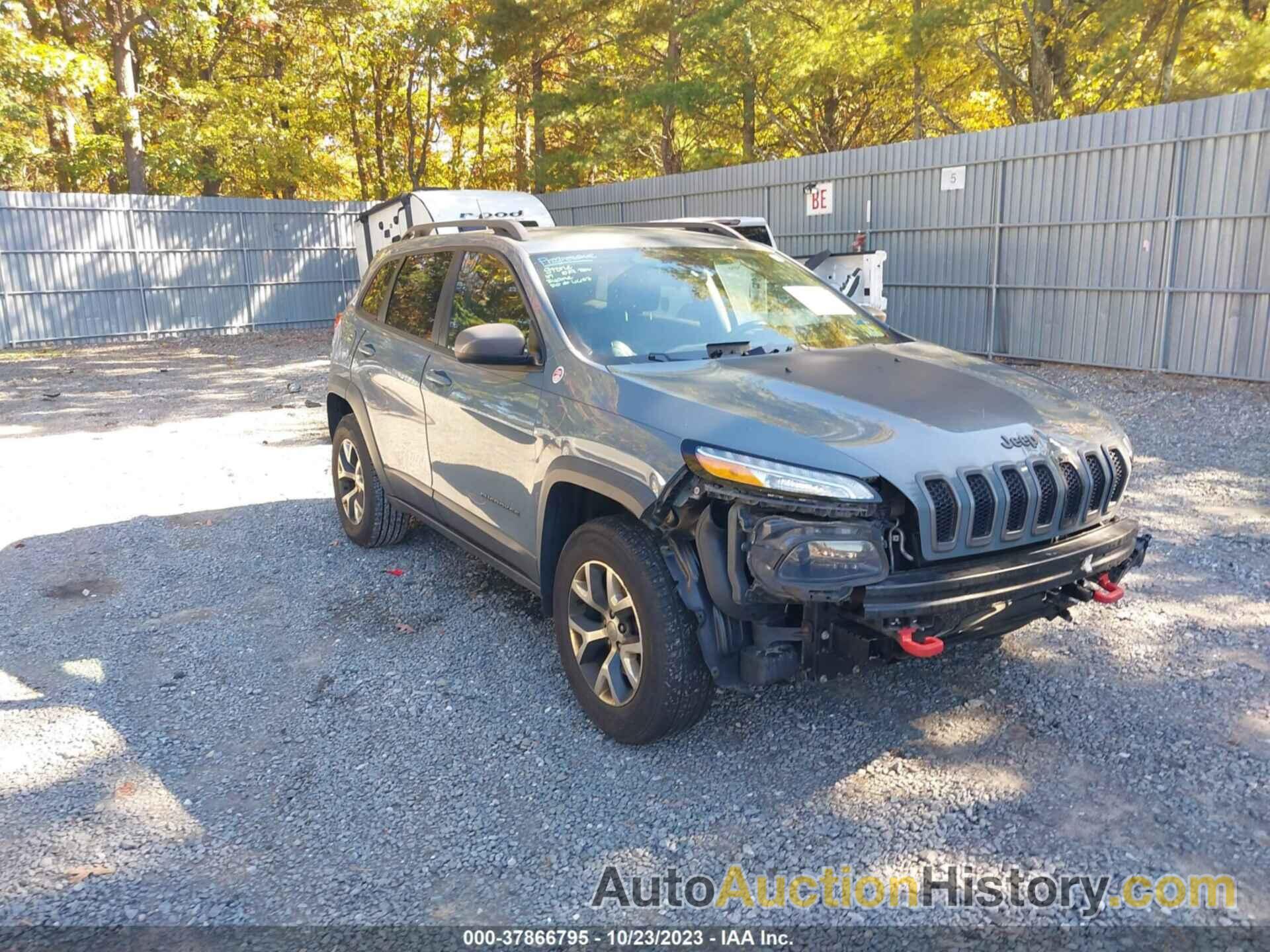 JEEP CHEROKEE TRAILHAWK, 1C4PJMBS0FW500800