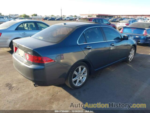 ACURA TSX, JH4CL96955C021865
