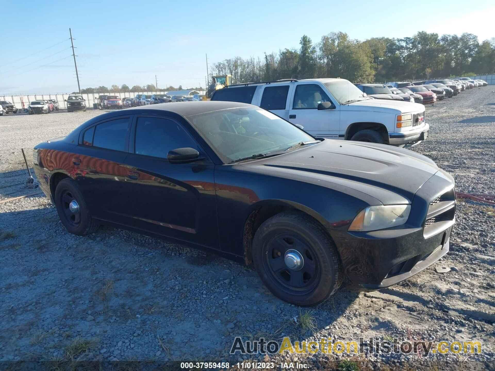 DODGE CHARGER POLICE, 2C3CDXAG7DH696335