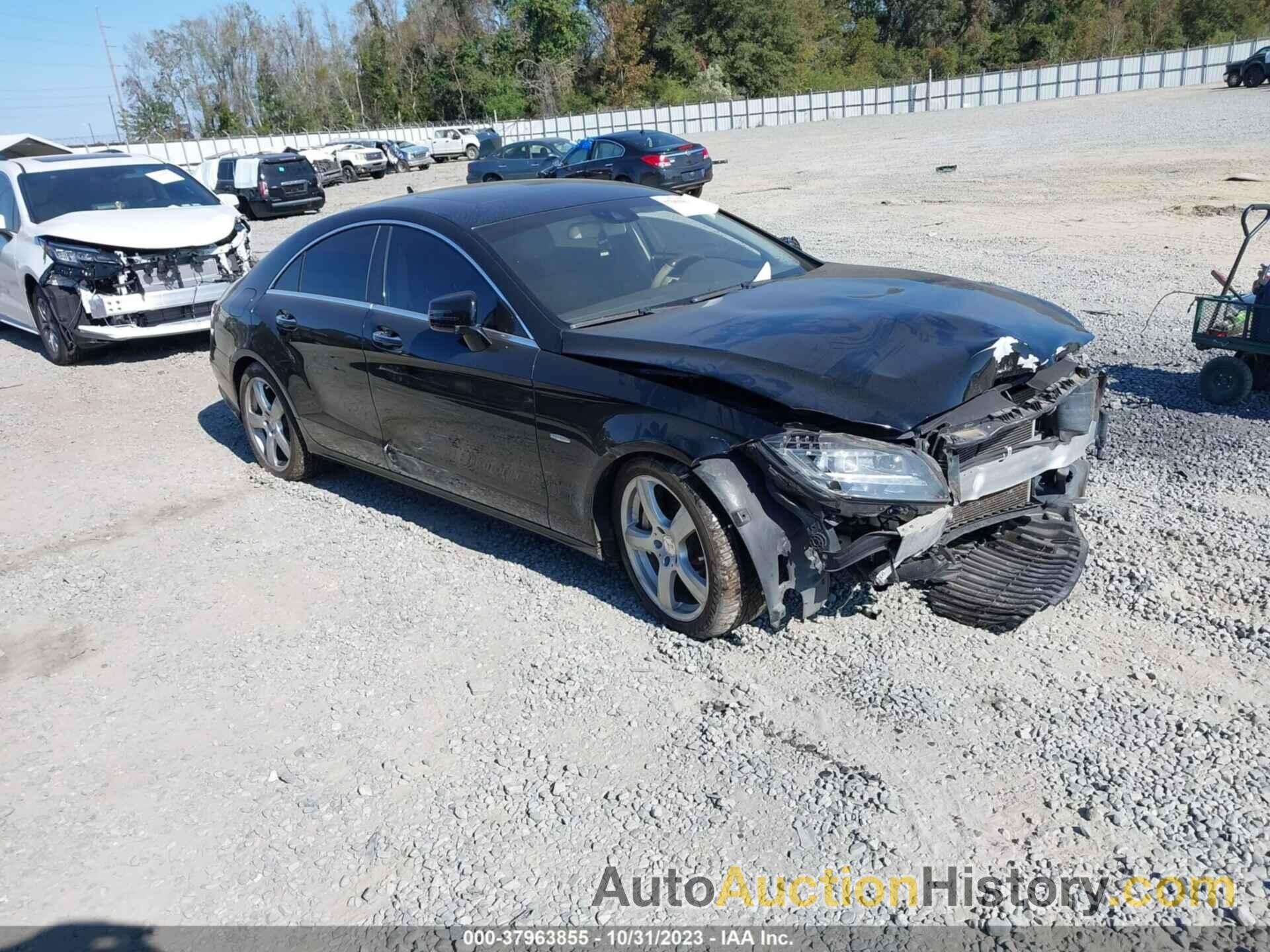 MERCEDES-BENZ CLS 550, WDDLJ7DB2CA034007