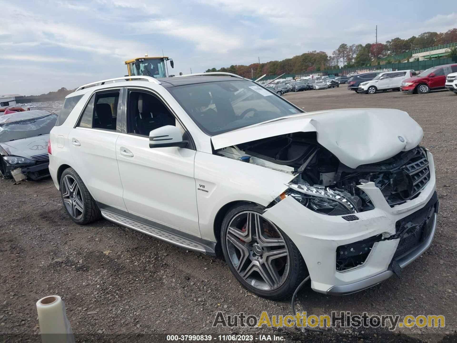 MERCEDES-BENZ ML 63 AMG, 4JGDA7EB8DA118343