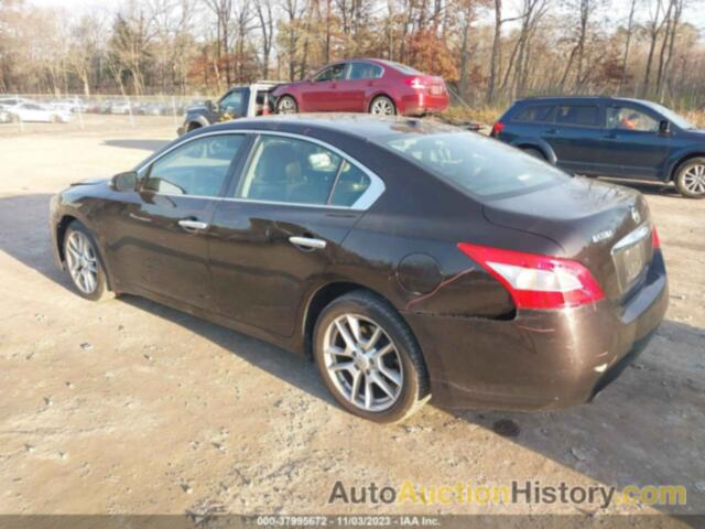 NISSAN MAXIMA 3.5 SV, 1N4AA5AP7BC815815