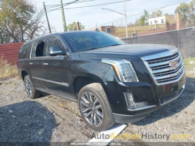 CADILLAC ESCALADE ESV PLATINUM, 1GYS4KKJ4KR344826