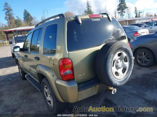 JEEP LIBERTY RENEGADE, 1J4GL38K42W352618