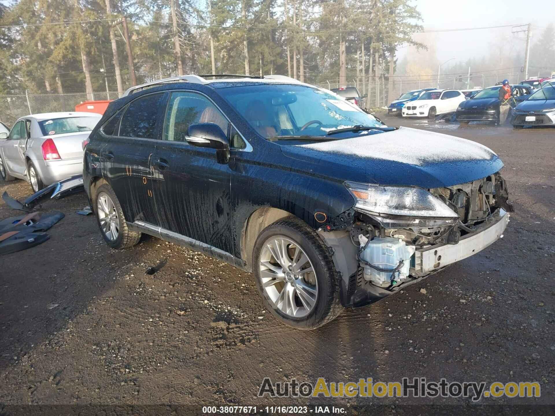 LEXUS RX 450H, JTJBC1BA8D2052706