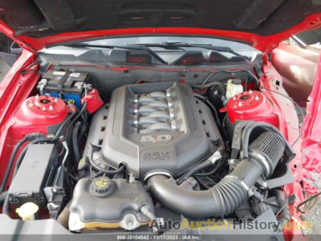 FORD MUSTANG GT, 1ZVBP8CF8E5251438