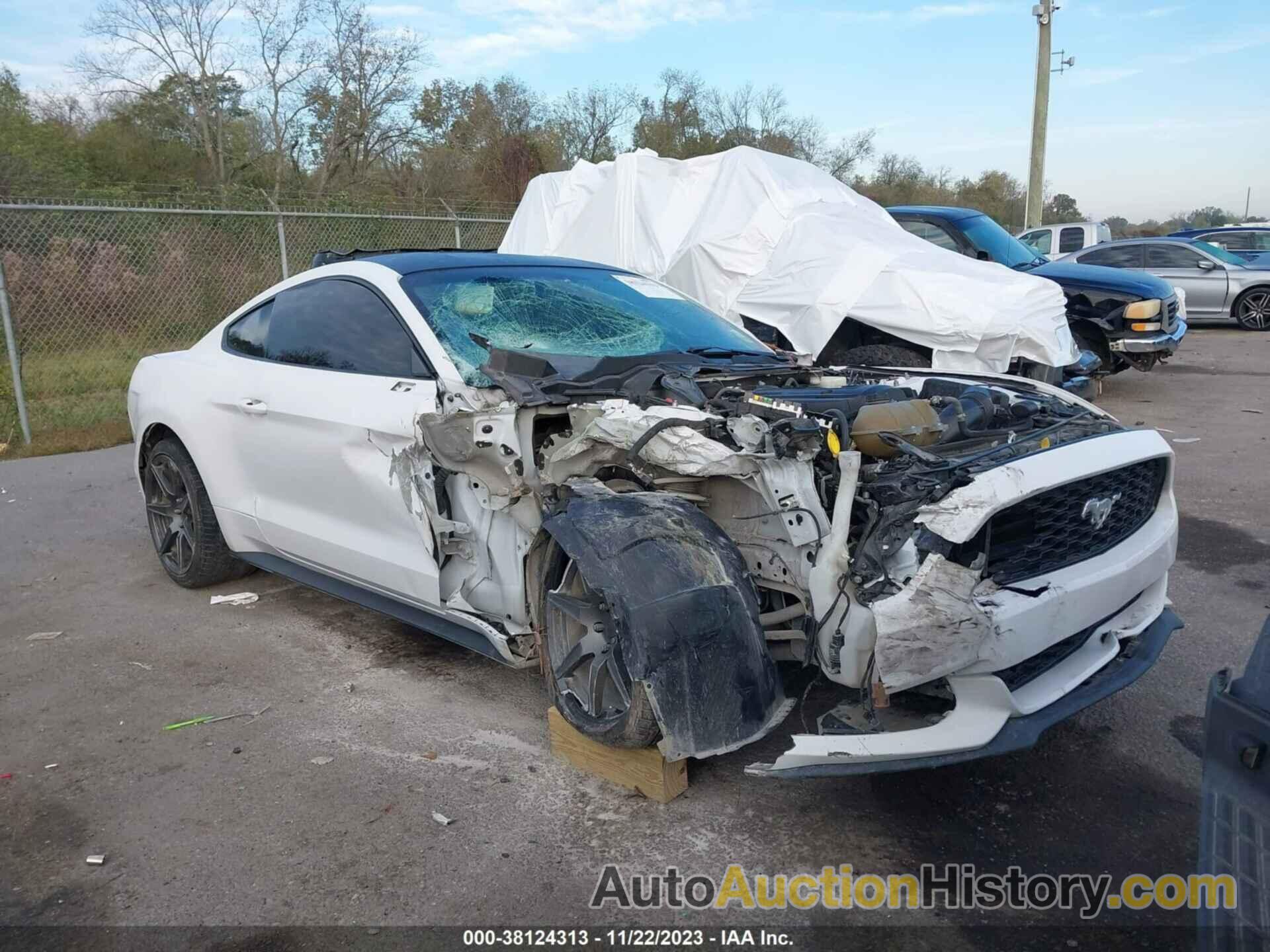 FORD MUSTANG ECOBOOST, 1FA6P8TH4G5289926