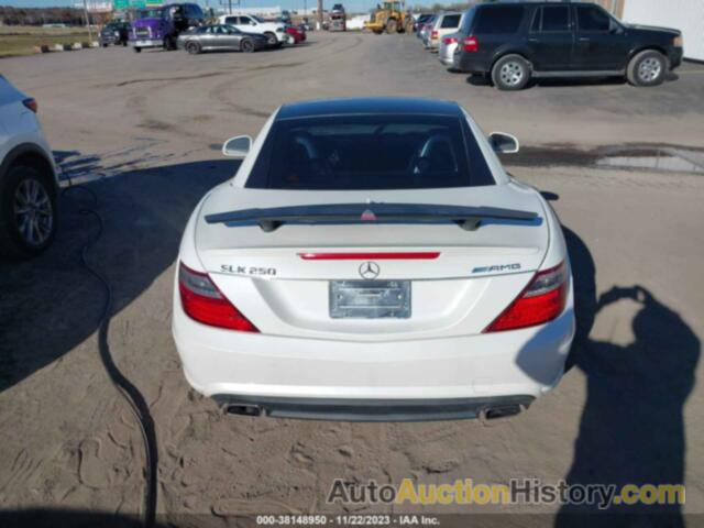 MERCEDES-BENZ SLK 250, WDDPK4HA3FF108119