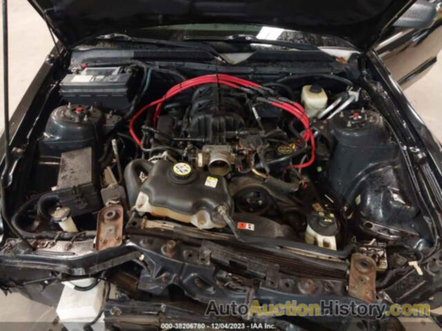 FORD MUSTANG V6, 1ZVHT84N465239056