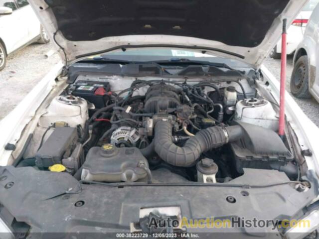 FORD MUSTANG V6/V6 PREMIUM, 1ZVBP8AN7A5159760