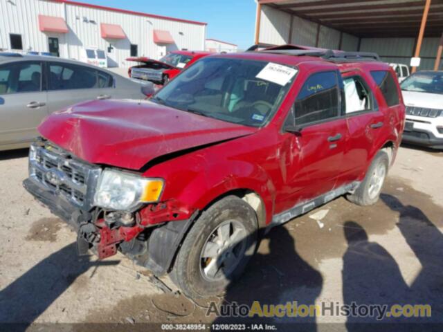 FORD ESCAPE XLT, 1FMCU0DG6BKA91254