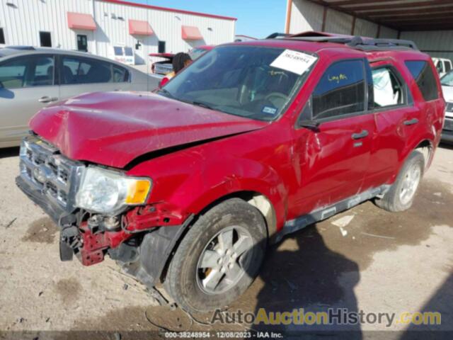 FORD ESCAPE XLT, 1FMCU0DG6BKA91254