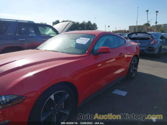 FORD MUSTANG ECOBOOST, 1FA6P8TH5L5171944