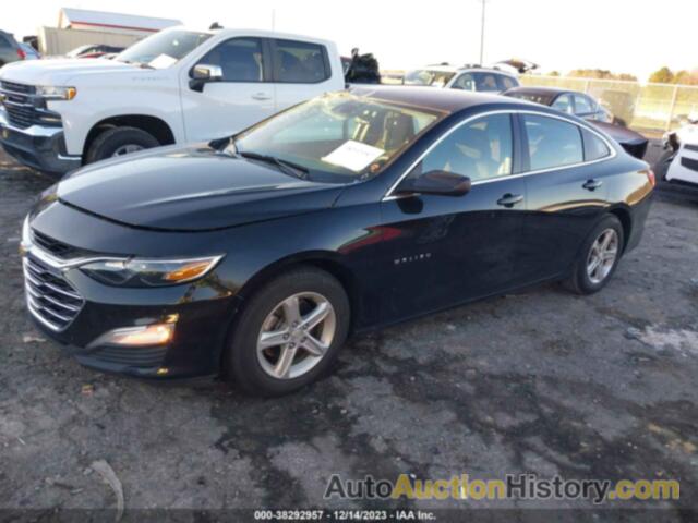 CHEVROLET MALIBU 1FL, 1G1ZC5STXKF217664