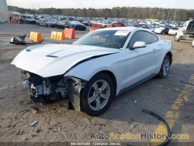 FORD MUSTANG ECOBOOST FASTBACK, 1FA6P8TH3L5132706