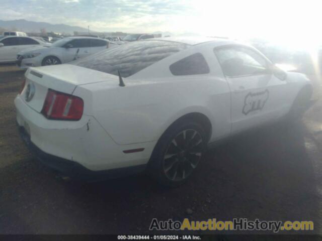 FORD MUSTANG V6/V6 PREMIUM, 1ZVBP8AM0C5221946