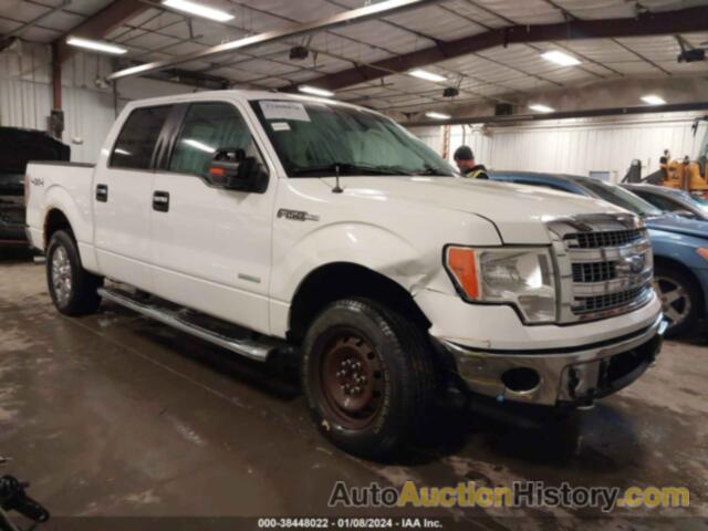 FORD F-150 XLT, 1FTFW1ET0DKE49920