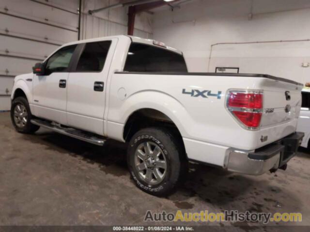 FORD F-150 XLT, 1FTFW1ET0DKE49920