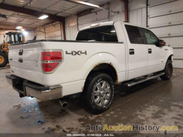 FORD F-150 XLT, 1FTFW1ET0DKE49920