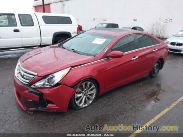 HYUNDAI SONATA SE 2.0T, 5NPEC4AB1DH525372