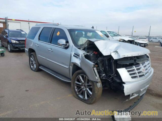 CADILLAC ESCALADE STANDARD, 1GYUKAEF5AR117398