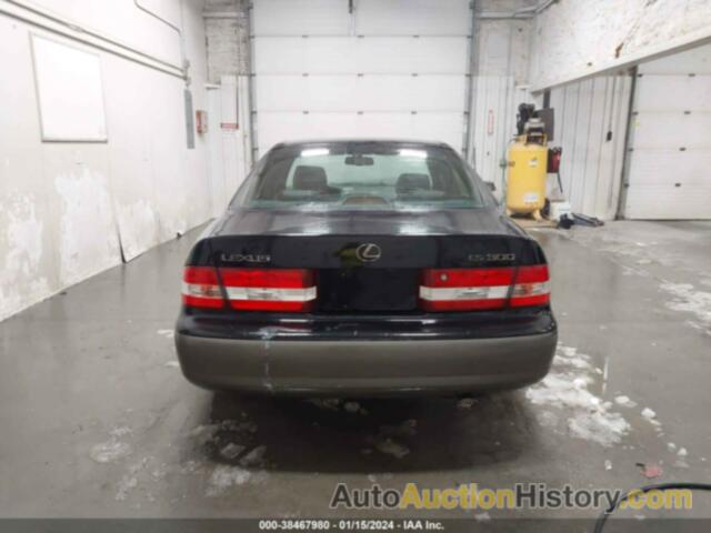 LEXUS ES 300 BASE (A4), JT8BF28G610319858