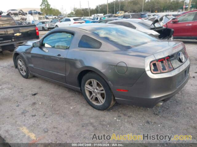 FORD MUSTANG V6, 1ZVBP8AM6E5282267