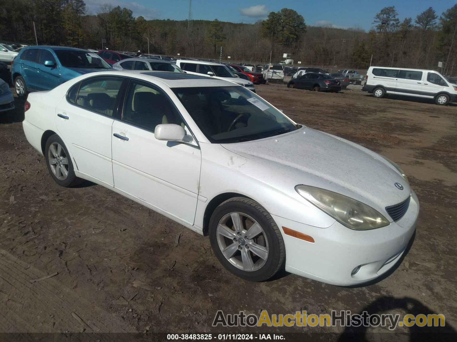 LEXUS ES 330, JTHBA30G655060362