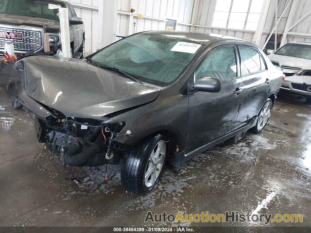 TOYOTA COROLLA LE SPECIAL EDITION/S SPECIAL EDITION, 2T1BU4EE1DC935161