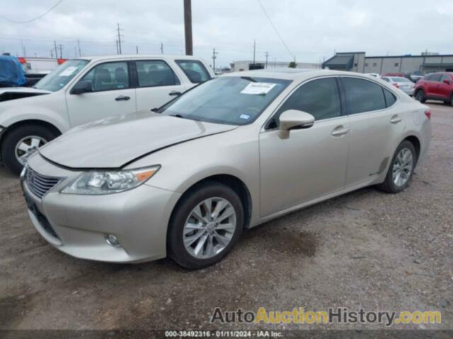 LEXUS ES 300H, JTHBW1GG2F2084771