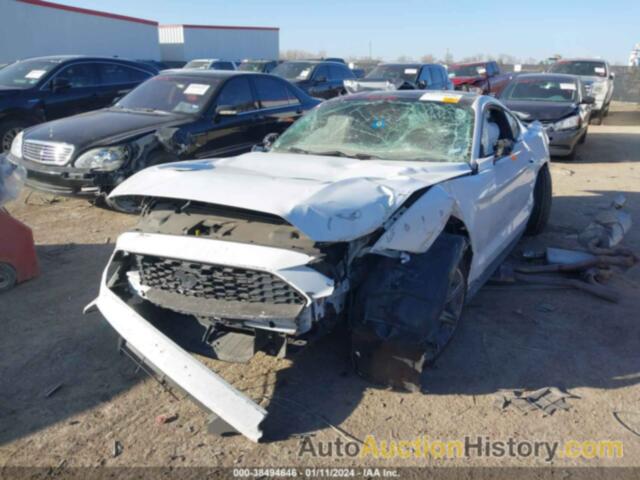 FORD MUSTANG ECOBOOST, 1FA6P8TH1K5146943