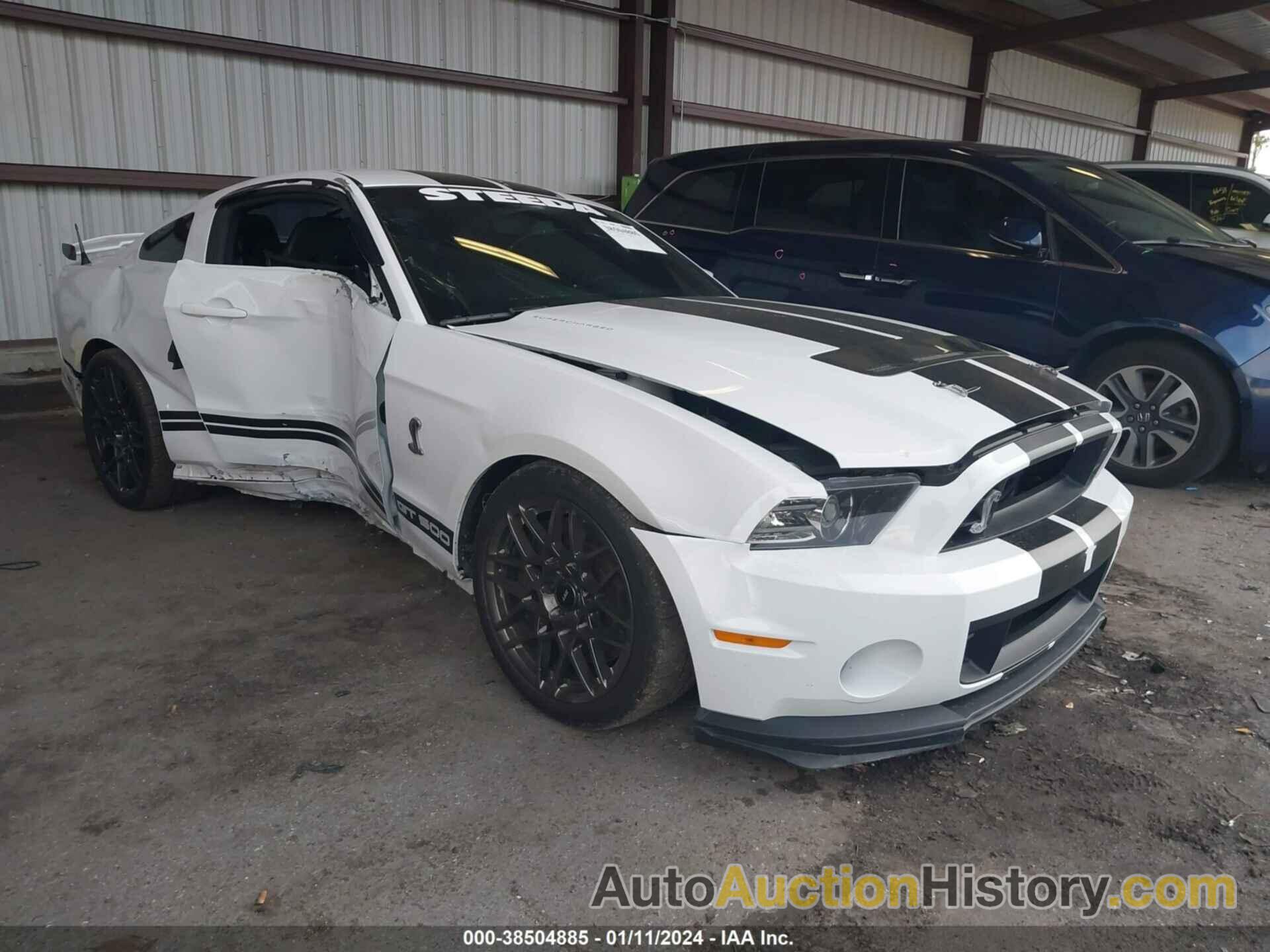 FORD SHELBY GT500, 1ZVBP8JZ1E5248250